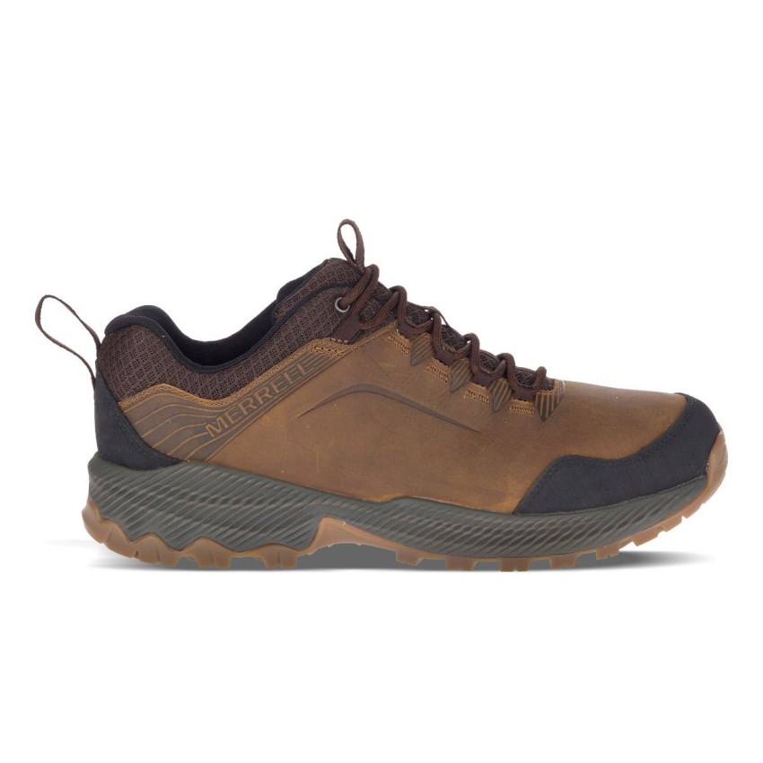 Chaussures Randonnée Merrell Forestbound Marron Homme | D.I.SIHR